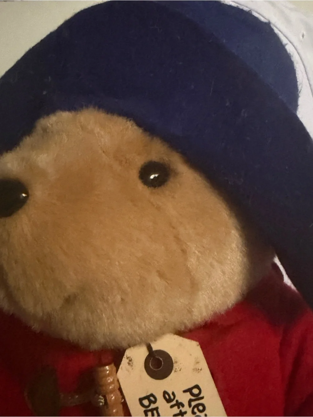 Classic Paddington Red-Coat Bear Plush with Blue Hat